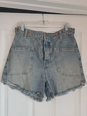 We The Free Palmer Light Blue Denim Cutoff Shorts